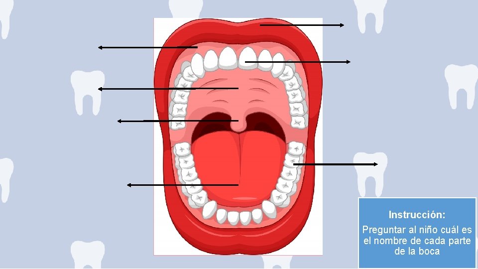 Instrucción: Preguntar al niño cuál es el nombre de cada parte de la boca