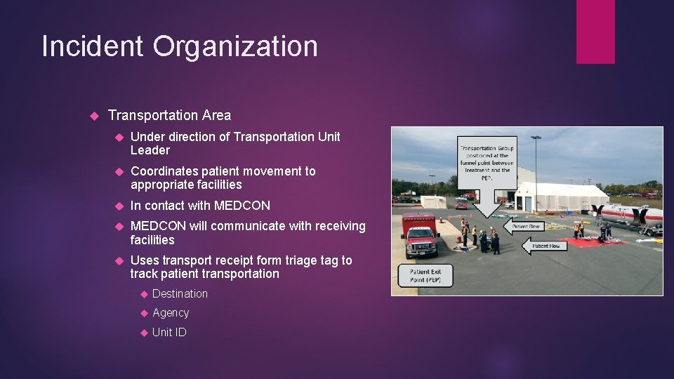 Incident Organization Transportation Area Under direction of Transportation Unit Leader Coordinates patient movement to