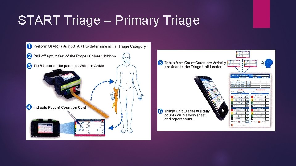 START Triage – Primary Triage 