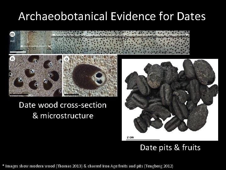 Archaeobotanical Evidence for Dates Date wood cross-section & microstructure Carbonized whole fruits and seeds