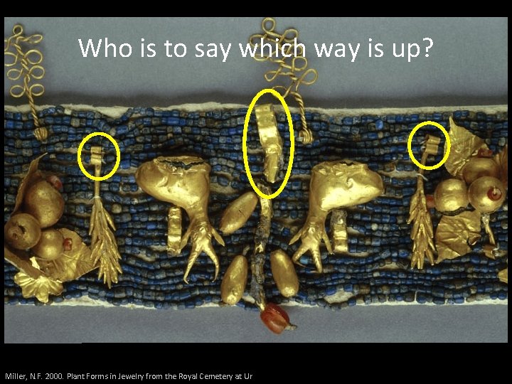 Who is to say which way is up? Miller, N. F. 2000. Plant Forms