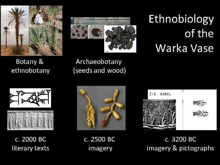 Ethnobiology of the Warka Vase Botany & ethnobotany Archaeobotany (seeds and wood) c. 2000