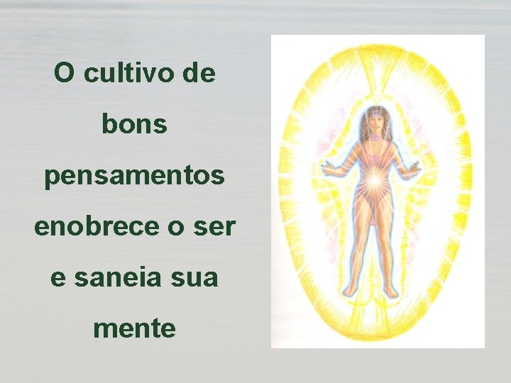 O cultivo de bons pensamentos enobrece o ser e saneia sua mente 