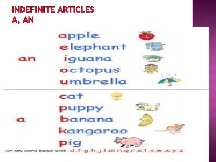 INDEFINITE ARTICLES A, AN 