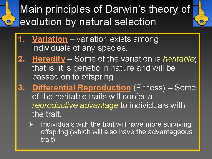 Main principles of Darwin’s theory of evolution by natural selection 1. Variation – variation