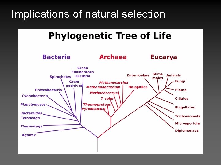 Implications of natural selection 