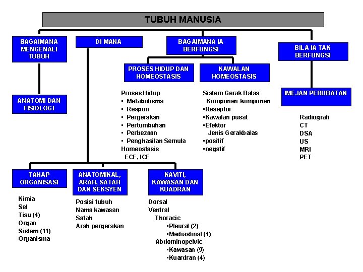 TUBUH MANUSIA BAGAIMANA MENGENALI TUBUH DI MANA BAGAIMANA IA BERFUNGSI PROSES HIDUP DAN HOMEOSTASIS