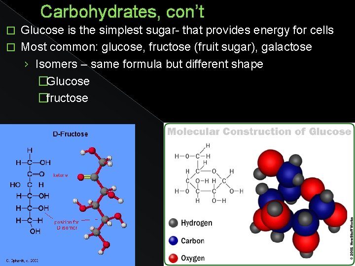 Carbohydrates, con’t Glucose is the simplest sugar- that provides energy for cells � Most