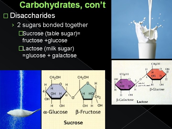 Carbohydrates, con’t � Disaccharides › 2 sugars bonded together �Sucrose (table sugar)= fructose +glucose