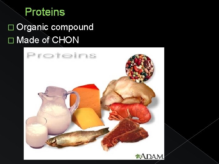 Proteins � Organic compound � Made of CHON 