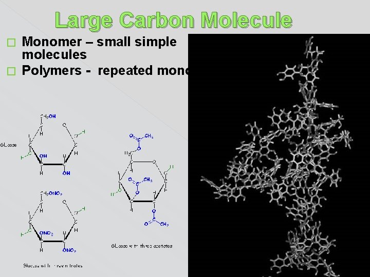 Large Carbon Molecule Monomer – small simple molecules � Polymers - repeated monomers �