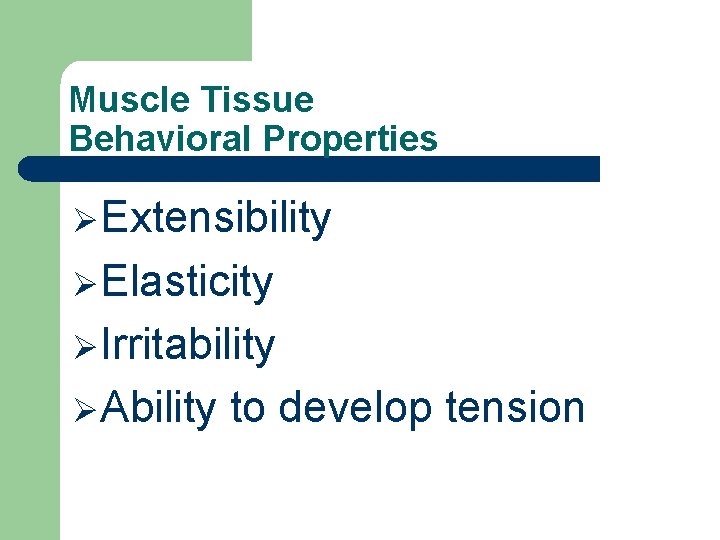 Muscle Tissue Behavioral Properties ØExtensibility ØElasticity ØIrritability ØAbility to develop tension 