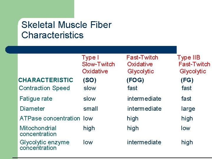 Skeletal Muscle Fiber Characteristics TYPE IIA Fast-Twitch Oxidative Glycolytic (FOG) fast CHARACTERISTIC Contraction Speed