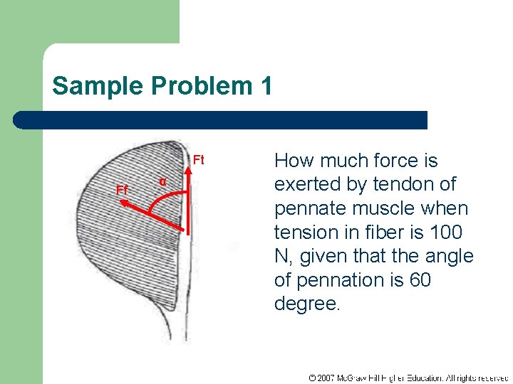 Sample Problem 1 Ft Ff α How much force is exerted by tendon of