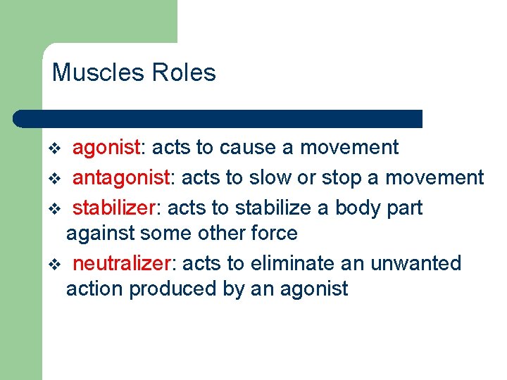 Muscles Roles agonist: acts to cause a movement v antagonist: acts to slow or