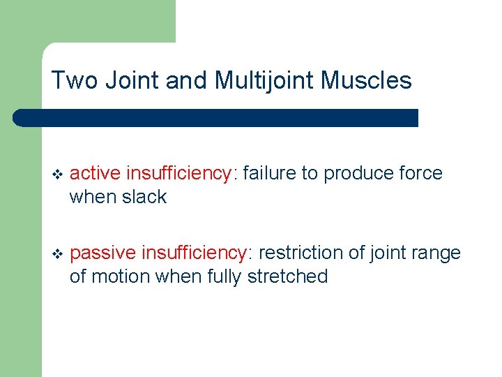 Two Joint and Multijoint Muscles v active insufficiency: failure to produce force when slack