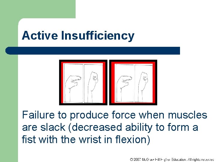 Active Insufficiency Failure to produce force when muscles are slack (decreased ability to form