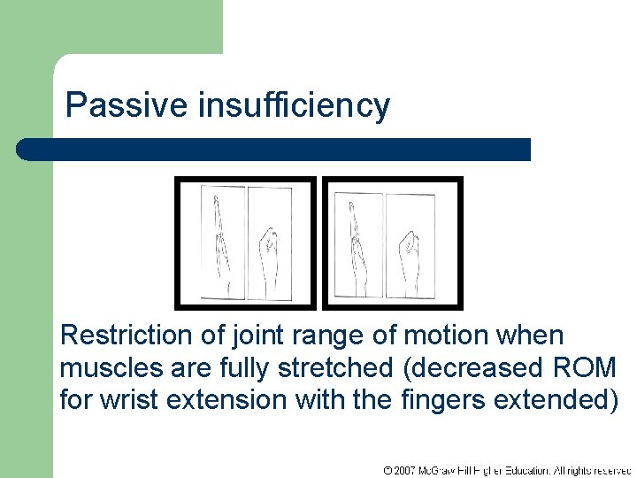 ENT 218 Biomechanics BIOMECHANICS of HUMAN SKELETAL MUSCLE