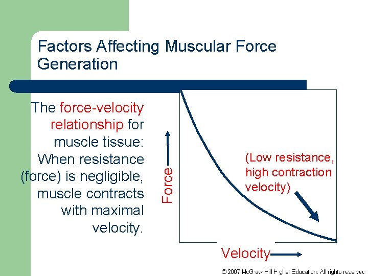 The force-velocity relationship for muscle tissue: When resistance (force) is negligible, muscle contracts with