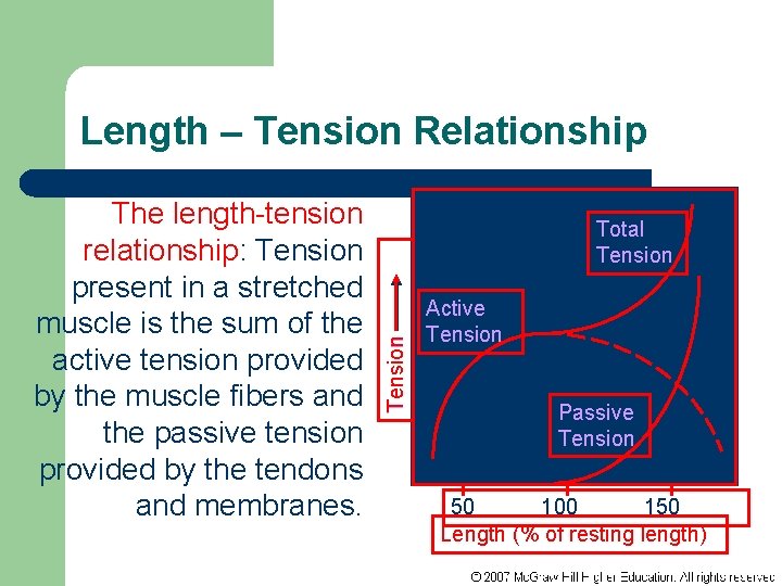 Length – Tension Relationship Total Tension The length-tension relationship: Tension present in a stretched