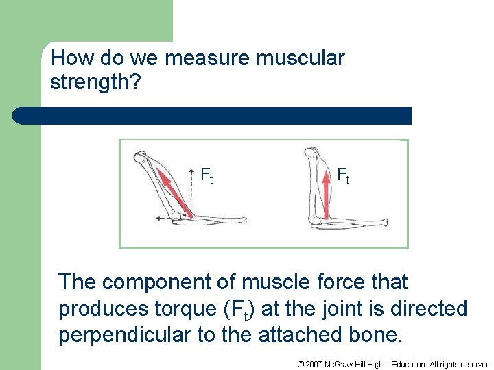 How do we measure muscular strength? Ft Ft The component of muscle force that
