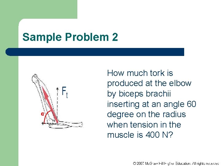 Sample Problem 2 α How much tork is produced at the elbow by biceps