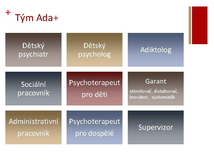 + Tým Ada+ Dětský psychiatr Dětský psycholog Sociální pracovník Psychoterapeut pro děti Administrativní pracovník