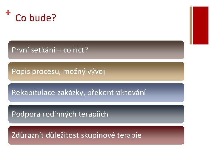 + Co bude? První setkání – co říct? Popis procesu, možný vývoj Rekapitulace zakázky,