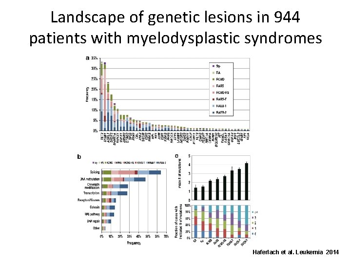 Landscape of genetic lesions in 944 patients with myelodysplastic syndromes Haferlach et al. Leukemia