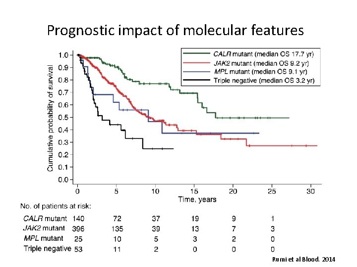 Prognostic impact of molecular features Rumi et al Blood. 2014 
