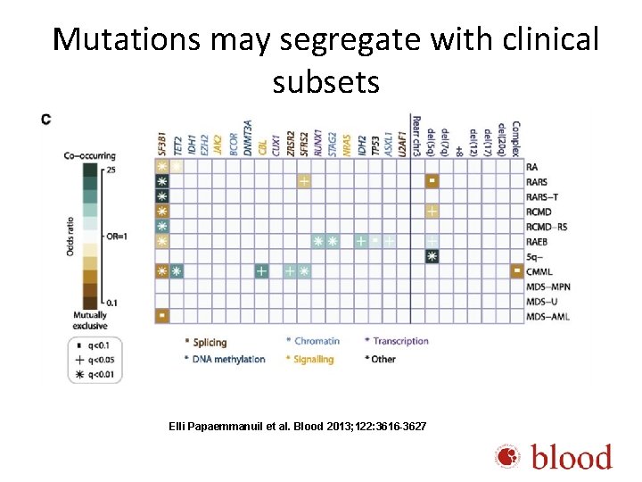Mutations may segregate with clinical subsets Elli Papaemmanuil et al. Blood 2013; 122: 3616