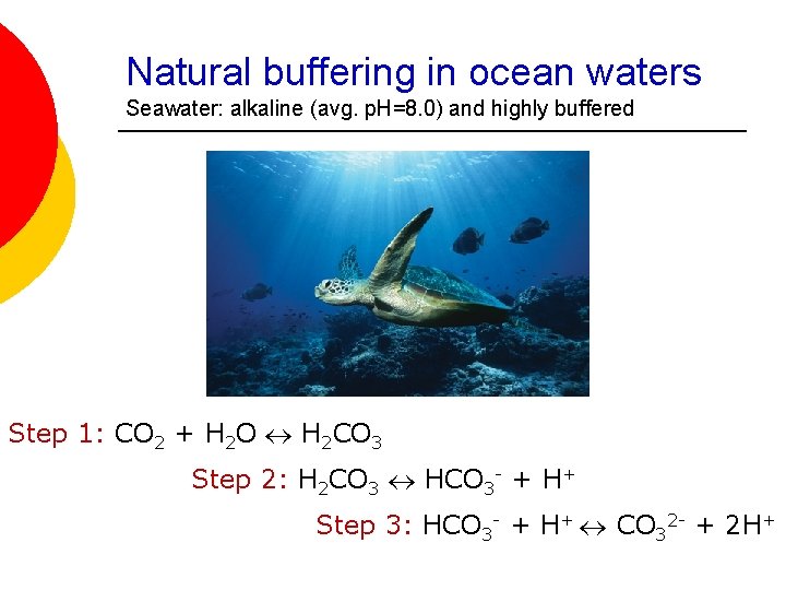 Natural buffering in ocean waters Seawater: alkaline (avg. p. H=8. 0) and highly buffered