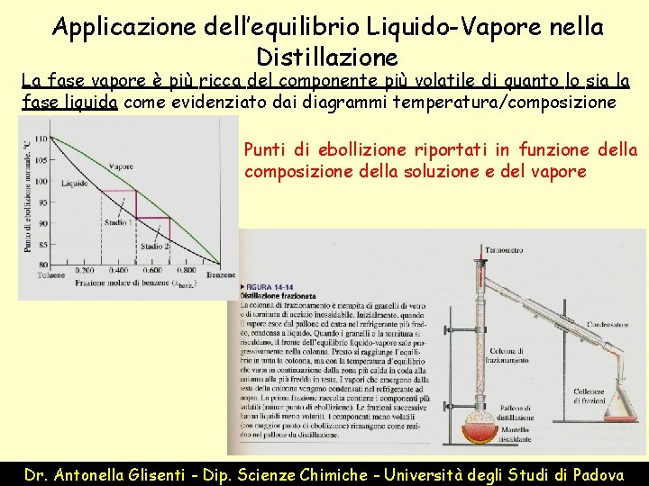 Applicazione dell’equilibrio Liquido-Vapore nella Distillazione La fase vapore è più ricca del componente più