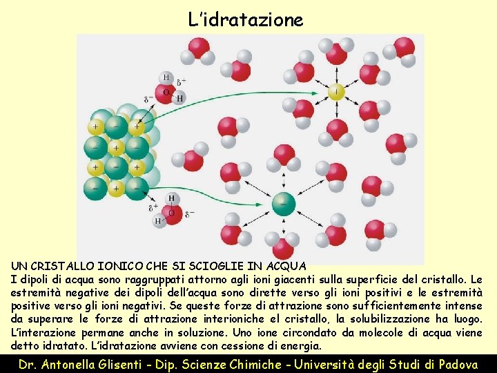 L’idratazione UN CRISTALLO IONICO CHE SI SCIOGLIE IN ACQUA I dipoli di acqua sono