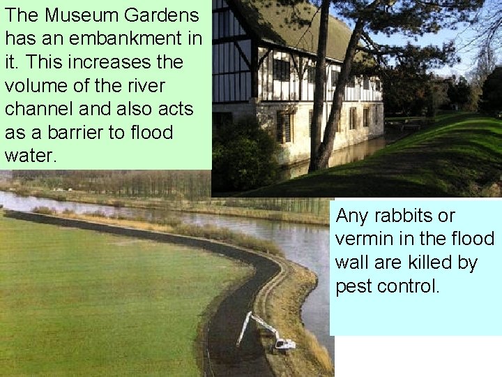 The Museum Gardens has an embankment in it. This increases the volume of the