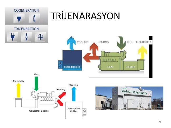 TRİJENARASYON 59 