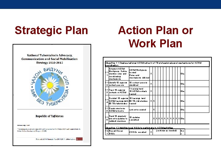 Strategic Plan Action Plan or Work Plan Objective 1. 1 Create a national ACSM