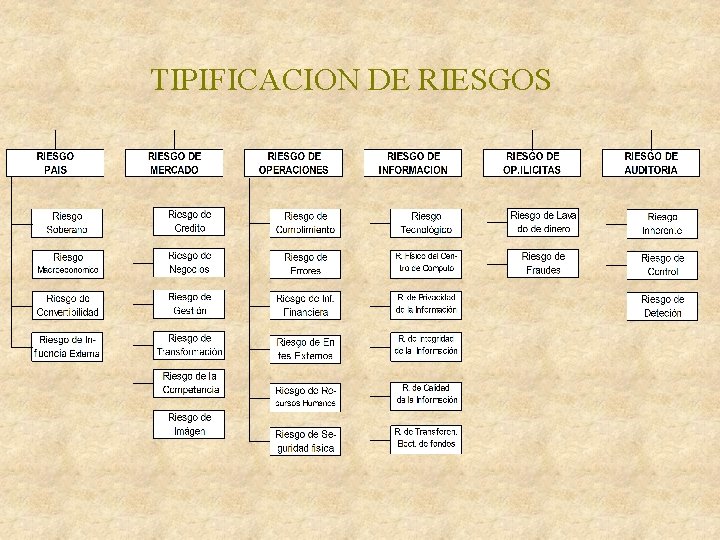 TIPIFICACION DE RIESGOS 