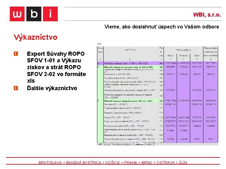 WBI, s. r. o. Vieme, ako dosiahnuť úspech vo Vašom odbore Výkazníctvo Export Súvahy