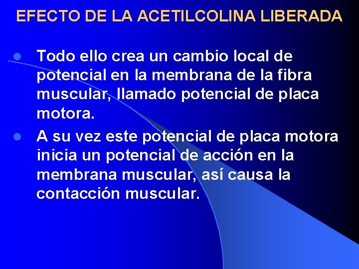 EFECTO DE LA ACETILCOLINA LIBERADA Todo ello crea un cambio local de potencial en