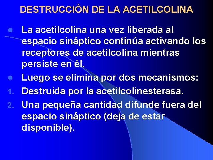 DESTRUCCIÓN DE LA ACETILCOLINA La acetilcolina una vez liberada al espacio sináptico continúa activando