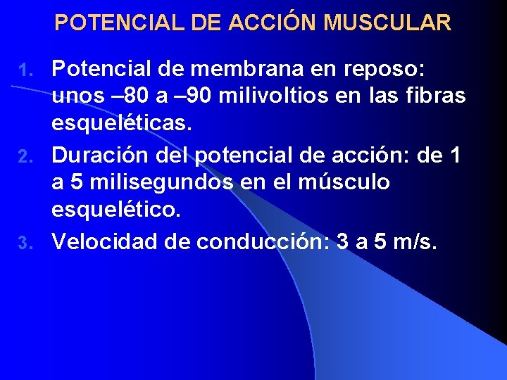 POTENCIAL DE ACCIÓN MUSCULAR Potencial de membrana en reposo: unos – 80 a –
