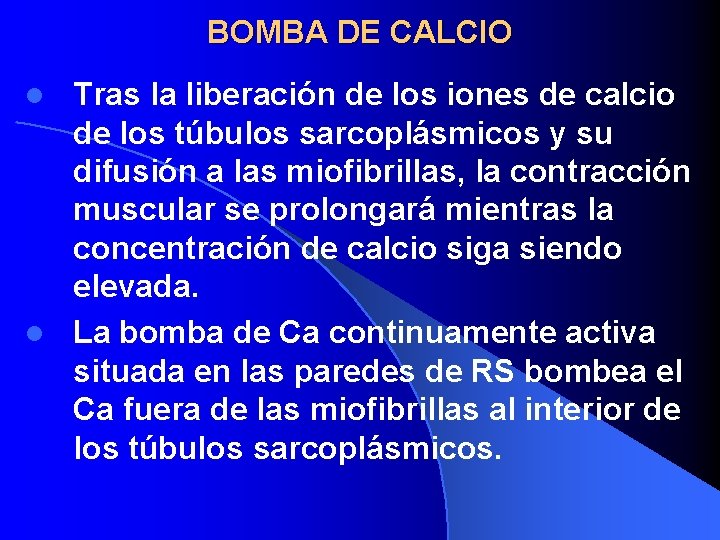 BOMBA DE CALCIO Tras la liberación de los iones de calcio de los túbulos
