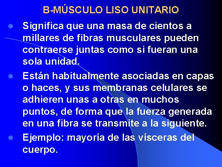 B-MÚSCULO LISO UNITARIO Significa que una masa de cientos a millares de fibras musculares
