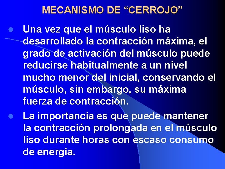 MECANISMO DE “CERROJO” Una vez que el músculo liso ha desarrollado la contracción máxima,