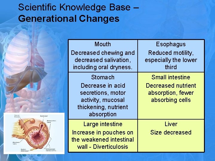 Scientific Knowledge Base – Generational Changes Mouth Decreased chewing and decreased salivation, including oral