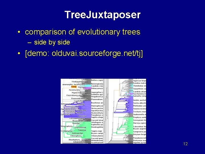 Tree. Juxtaposer • comparison of evolutionary trees – side by side • [demo: olduvai.