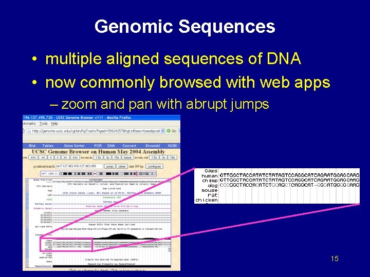Genomic Sequences • multiple aligned sequences of DNA • now commonly browsed with web