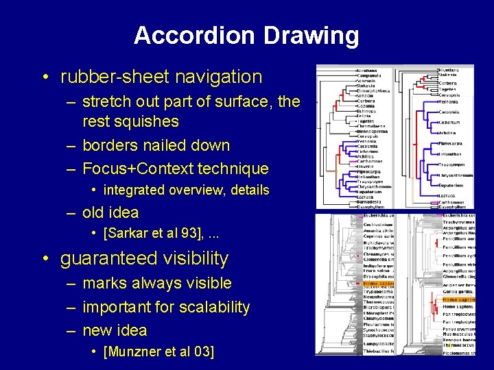 Accordion Drawing • rubber-sheet navigation – stretch out part of surface, the rest squishes