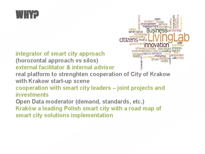 WHY? integrator of smart city approach (horozontal approach vs silos) external facilitator & internal